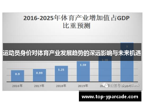 运动员身价对体育产业发展趋势的深远影响与未来机遇