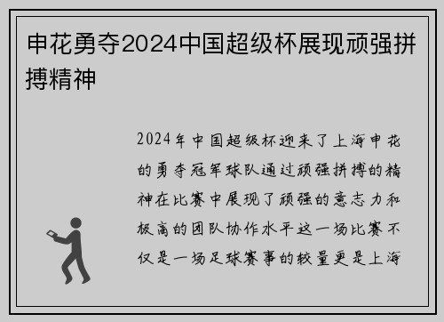 申花勇夺2024中国超级杯展现顽强拼搏精神